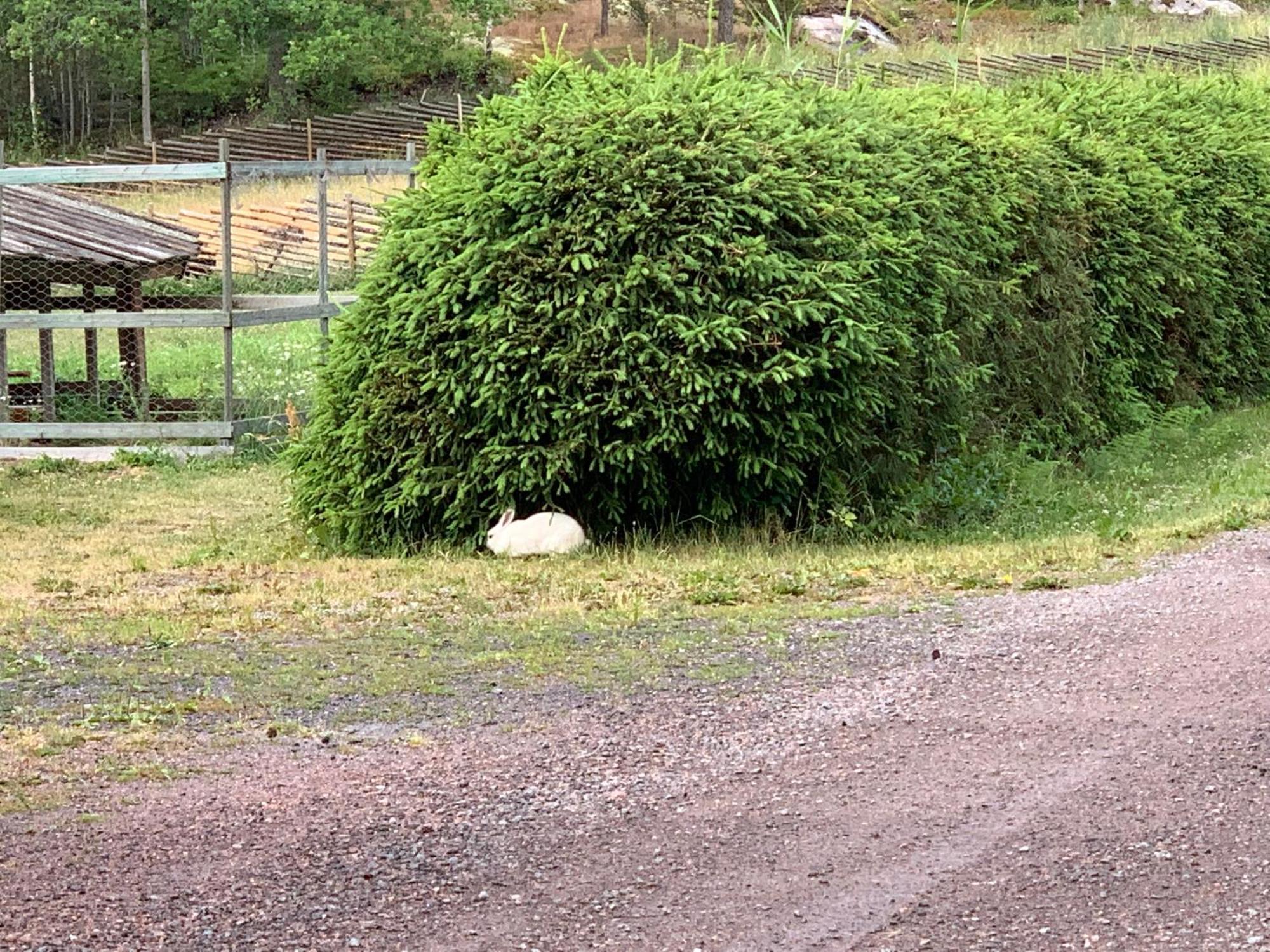 Lomahyppaeys Villa Nådendal Exteriör bild